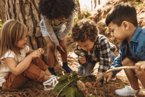 Children exploring nature in a forest, using a magnifying glass to examine leaves and insects.