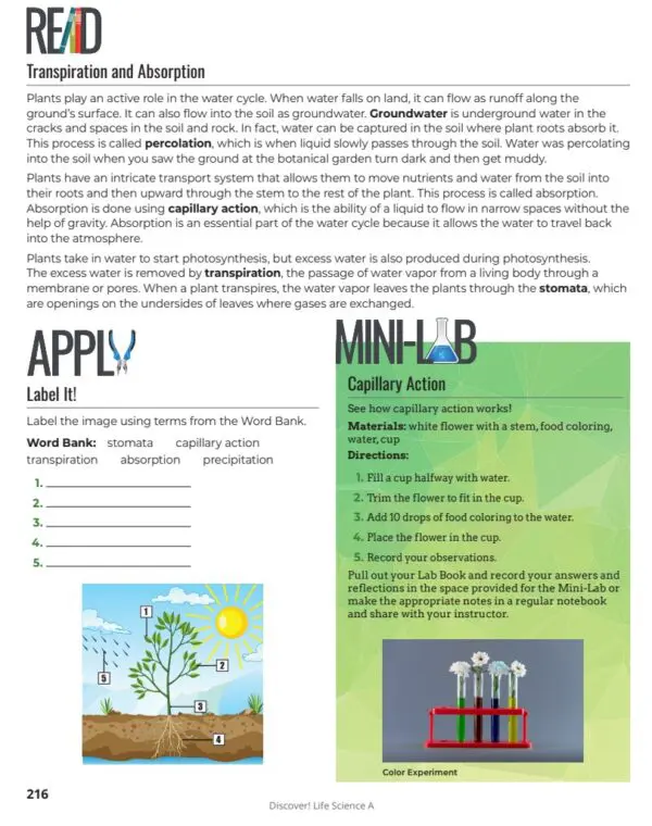 LS A 4 Discover! MS Life Science Set