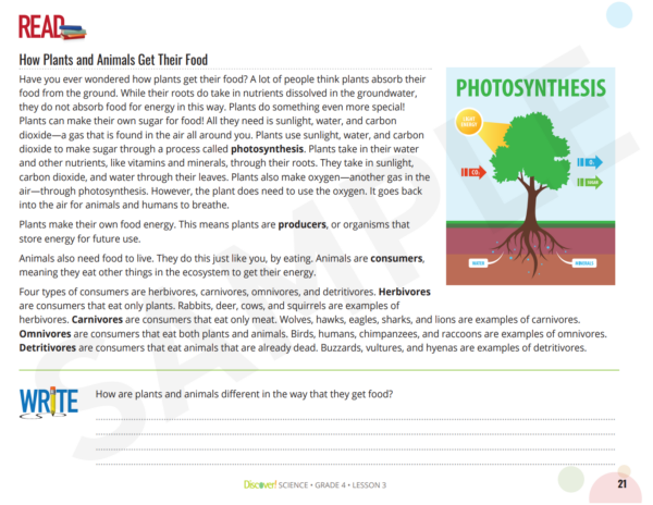 Discover! 4th Grade 4-Subject Set - Image 3