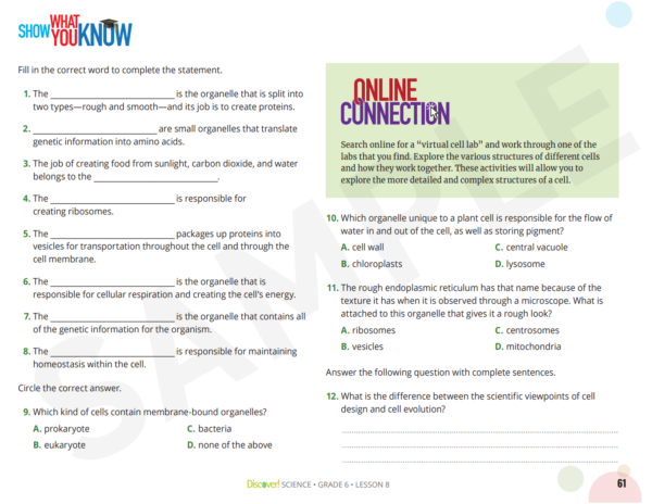 Discover! Science 6th Grade Set - Image 6